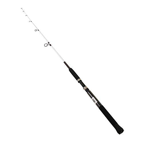 Ugly Stik Carbon Casting Fishing Rod