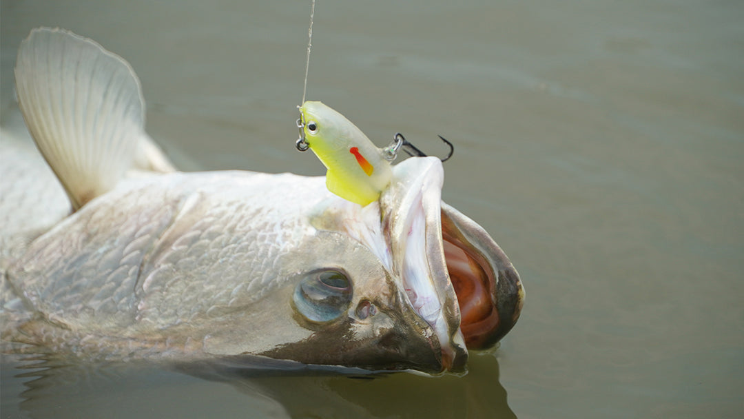 Pre-rigged Fishing Jig Lures for Freshwater & Saltwater,Innovative Super Durable TPE Bass Lures