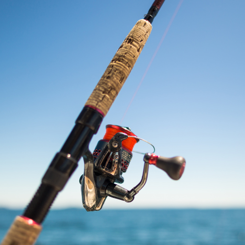 The Ultimate Guide to Choosing the Perfect Rod & Reel Combo