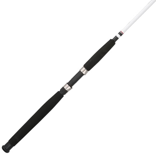 Big Game Spinning Fishing Rod 