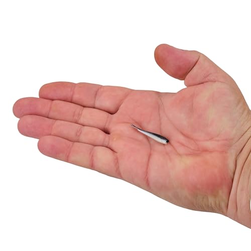 Gulp! Alive! Minnow Fishing Soft Bait - Soaked in Powerful Attractant  2 1/2", 6.9oz