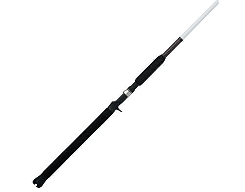 Carbon Casting Fishing Rod w/ Clear Tip,Moderate Fast Action