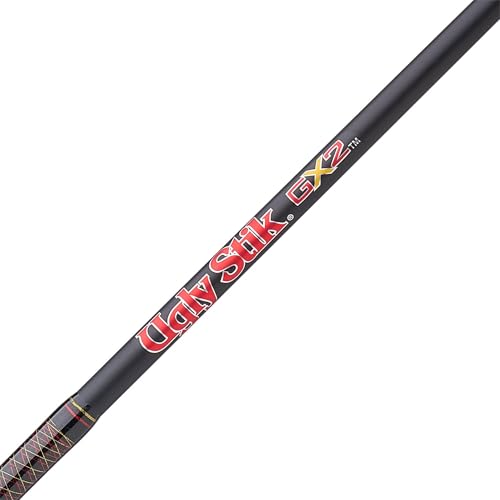 GX2 Spinning Reel and Fishing Rod Combo-Size 30 Fishing Reel