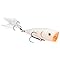 KVD Splash Topwater Hardbait Series w/ Feather Enhanced Rear Treble Hook & 3D Eyes