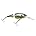 2pcs Flicker Shad Jointed Crankbait, Red Tiger, 1/3 oz, 2 3/4in, 7'-9' Dive Depth