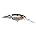 2pcs Flicker Shad Jointed Crankbait, Red Tiger, 1/3 oz, 2 3/4in, 7'-9' Dive Depth