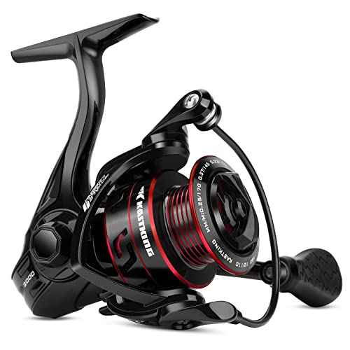 Royale Legend Glory Fishing Reel