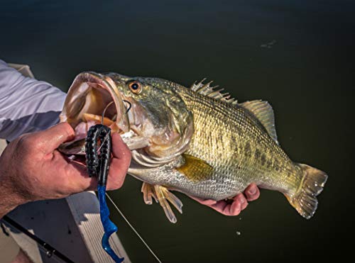 PowerBait Power Worms Fishing Soft Plastic Curly Tail Bait - Ribbon-tail Worm