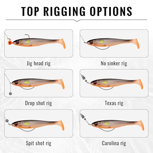 Durable Soft Fishing Lures for Crappie Trout Bass Walleye Panfish,Well-Made Easy Catching Baits
