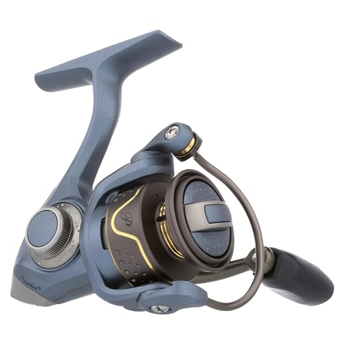 President Spinning Fishing Reel