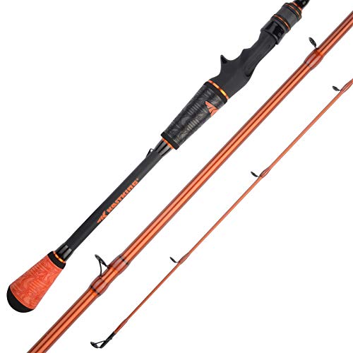Bass Fishing Rods-Elite Carbon 