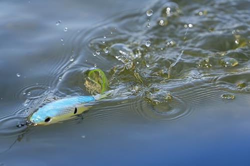 Choppo Fishing Hard Bait - Top Water Lure w/ Sharp & Stout Fusion19 Hooks