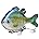SwimPanfish Multi Jointed Panfish Bluegill Swimbaits Hard Topwater Bass Lures