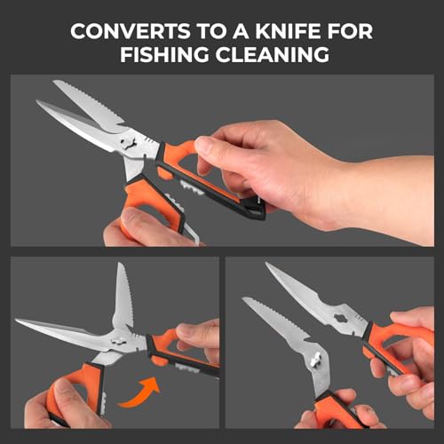 Paradox Fishing Tools Set,Stainless Steel 9" Bait Shears, 7.5" Angled Nose Pliers