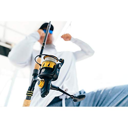 Spinfisher VI Spinning Fishing Reel with Aluminum Reel Spool