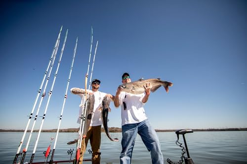 Catfish Special Spinning Fishing Rod - 15-30lb Line Rating, Medium Heavy Power