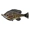 Pulse Tail Bluegill LB Fishing Soft Bait - Lifelike Action & Heavy-duty Hook