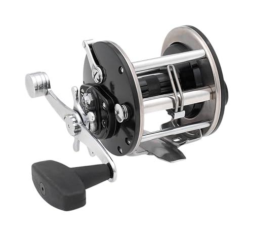 Level Wind Conventional Fishing Reel
Success