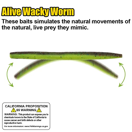 Wacky-Worms Bass Fishing Lure Kit-Wacky Rig Worms Soft Plastic Stick Baits-3-6"