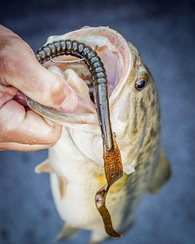 PowerBait Power Worms Fishing Soft Plastic Curly Tail Bait - Ribbon-tail Worm