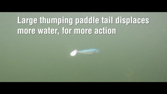 PowerBait The Champ Swimmer Fishing Soft Bait