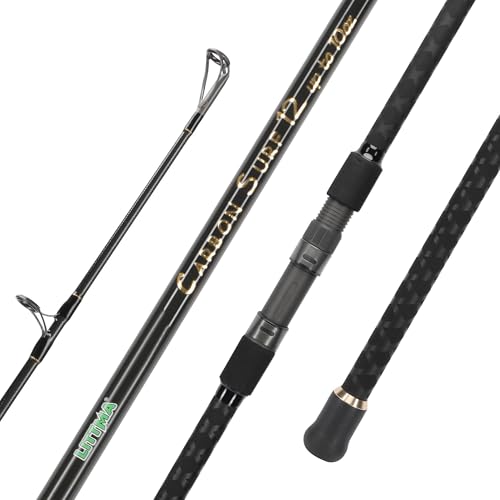 Carbon Fiber Surf Spinning Rod