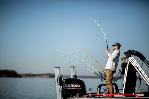 Catfish Special Spinning Fishing Rod - 15-30lb Line Rating, Medium Heavy Power