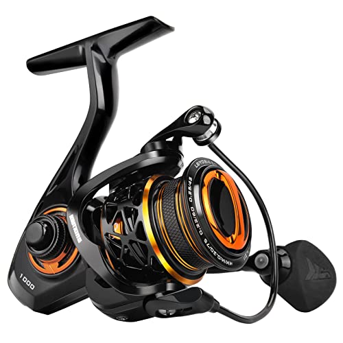 Zephyr 1000 SFS Spinning Reel