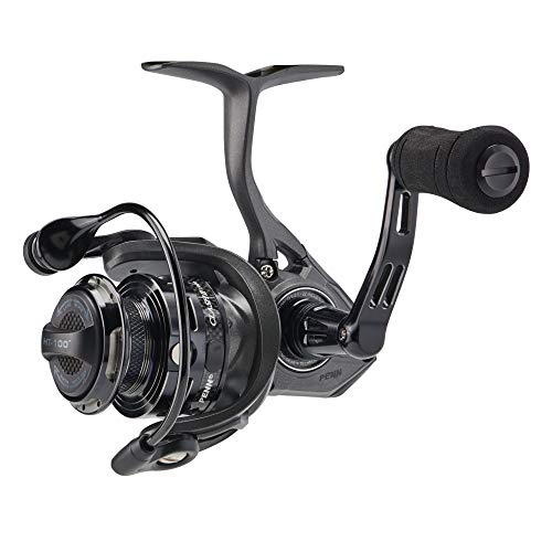 Spinning Reel-Lightweight Saltwater Shore & Kayak Fishing Reel for Lure Fishing