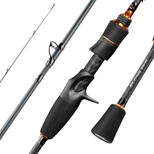 Zephyr Spin & Bait Finesse Fishing Rod