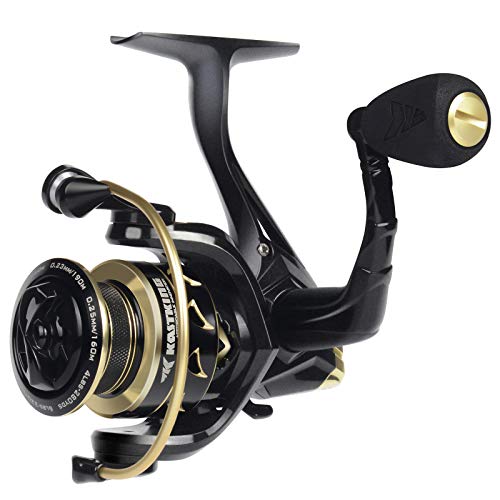 Valiant Eagle Gold Spinning Reel-6.21 High-Speed Gear Ratio,Freshwater & Saltwater Fishing Reel