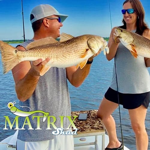 8pcs Fishing Lures for Speckled Trout,Redfish,Bass - Louisiana Paddle Tail Swimbaits