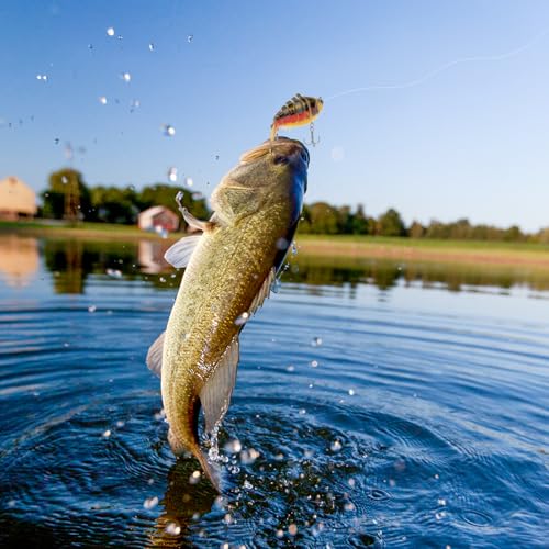 3PCS Premium Segmented Fishing Lures Set,Multi-Jointed Hard Baits w/ 3D Eyes