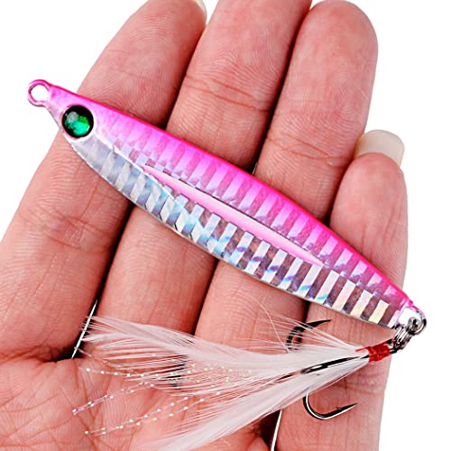 10pcs Hard Metal Jigs Diving Sea Fishing Lures,Minnow Popper Baits Tackle w/ Feather