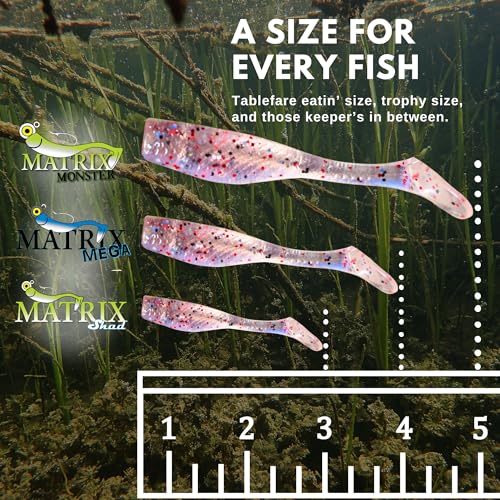 8pcs Fishing Lures for Speckled Trout,Redfish,Bass - Louisiana Paddle Tail Swimbaits