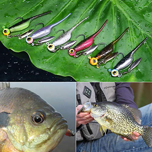Crappie Baits Plastics Jig-Heads Kit Shad Minnow Fishing Lures for Crappie