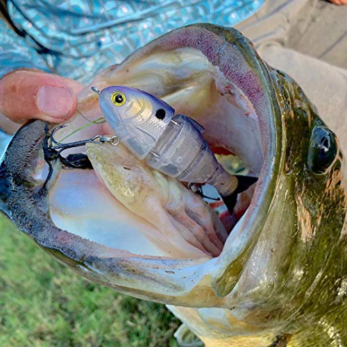 Baby Bull Shad Fishing Swimbait 3.75" 1/2oz-Slow Sinking & ABS Injected Plastics