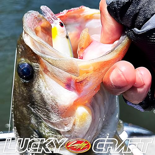Jerkbait Side by Side Action Tournament Winning Wobbling Freshwater Lake Bass Fishing Bait