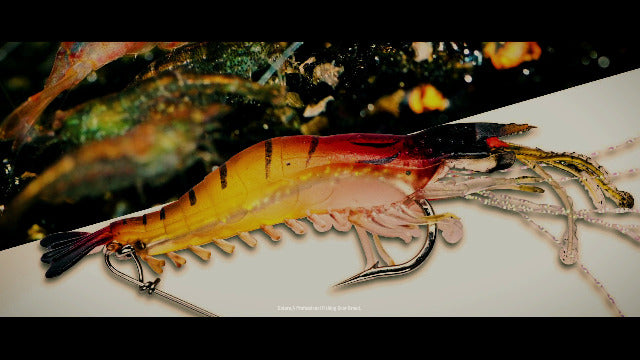 Soft Shrimp Lures,Fishing Saltwater Luminous Shrimp Bait Set Fishing Lures w/ Sharp Hooks
