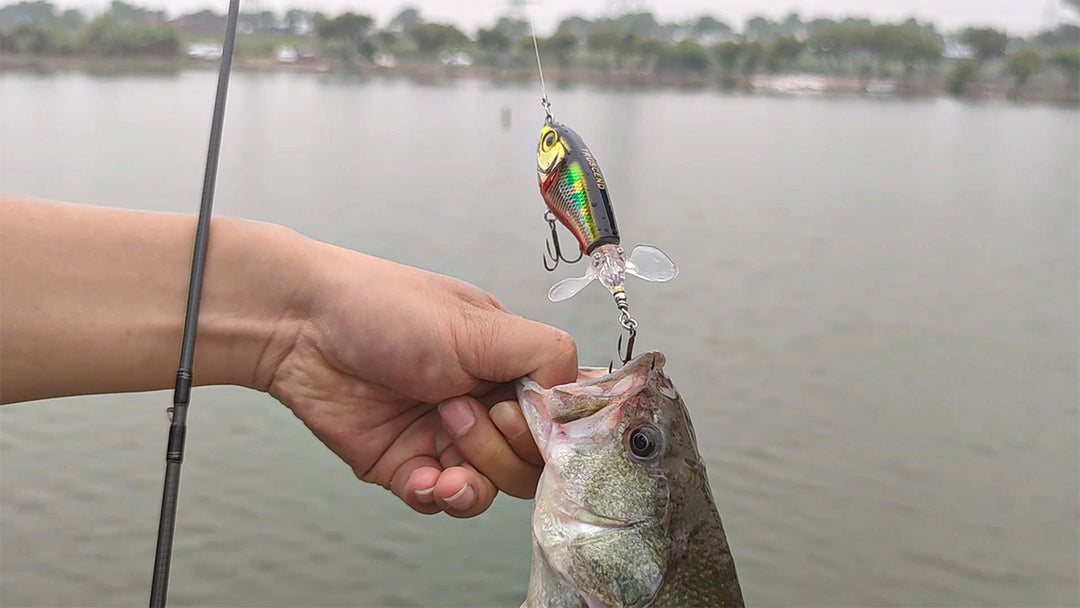 PoPobait w/ BKK Hooks,Top Water Popper Fishing Lures for Bass Walleye Pike